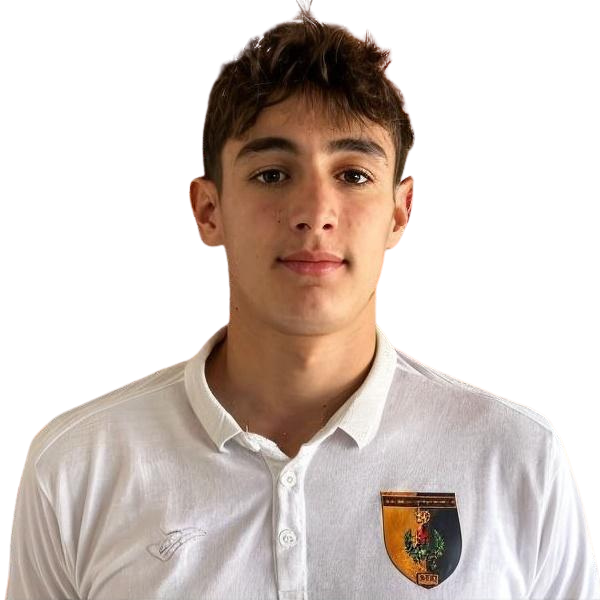 Pietro Palese · Prima squadra